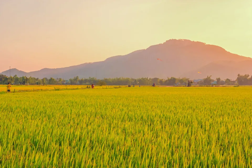 Kho gạo của Võ Thị Thương